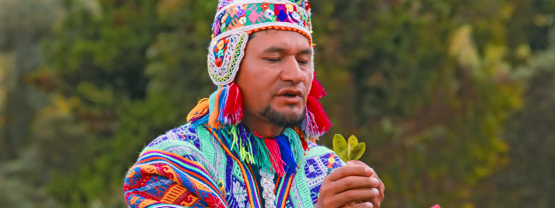Hoja de coca | Cocatambo