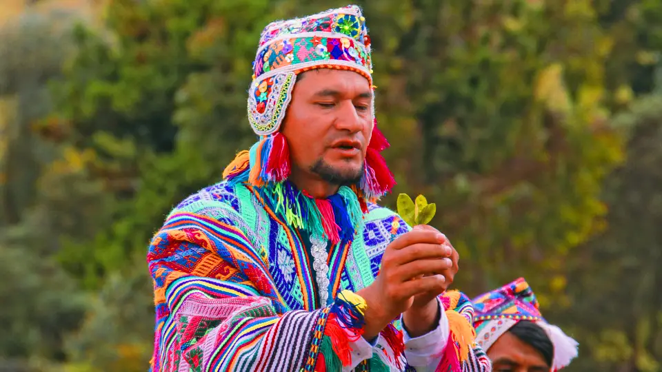 Hoja de coca | Cocatambo