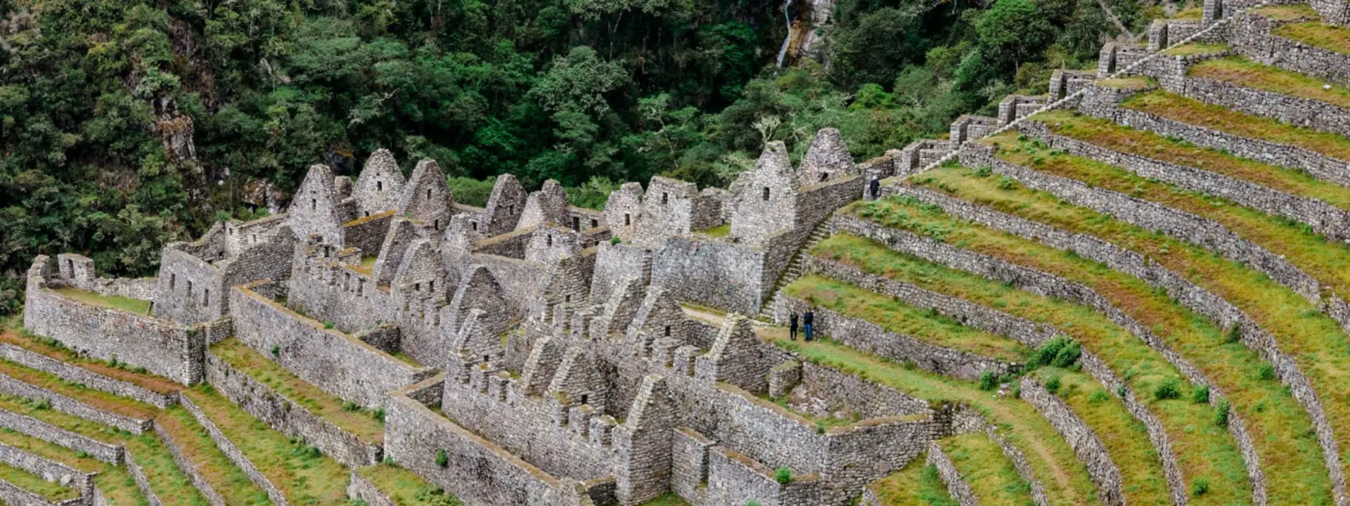Wiñayhuayna | Cocatambo Hotel