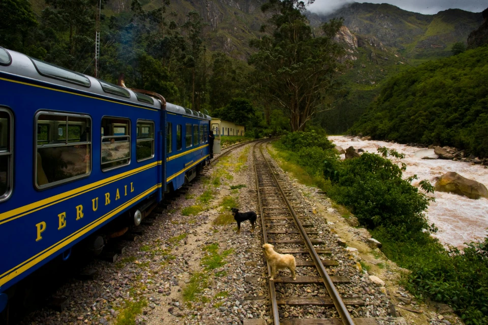Tren a Machu picchu - PeruRail