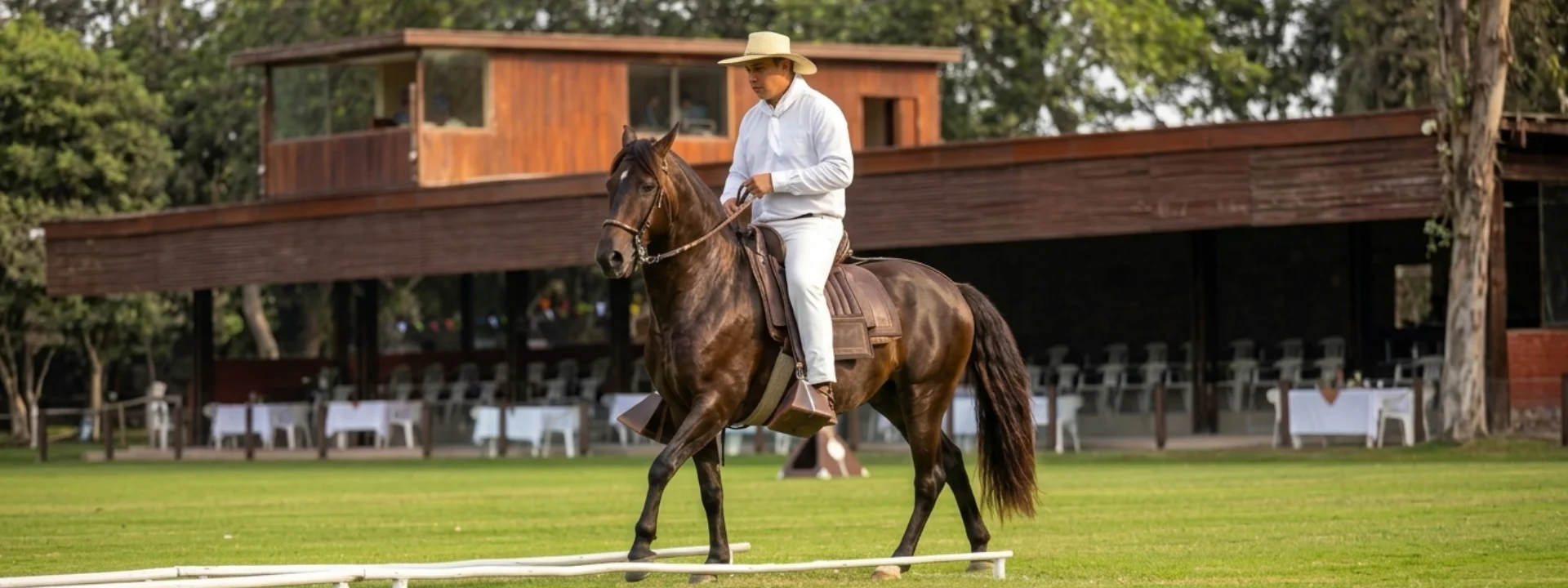 La elegancia del Caballo Peruano de Paso no solo se ve: se siente en cada movimiento. Tradición, historia y armonía en una de las expresiones culturales más emblemáticas del Perú.