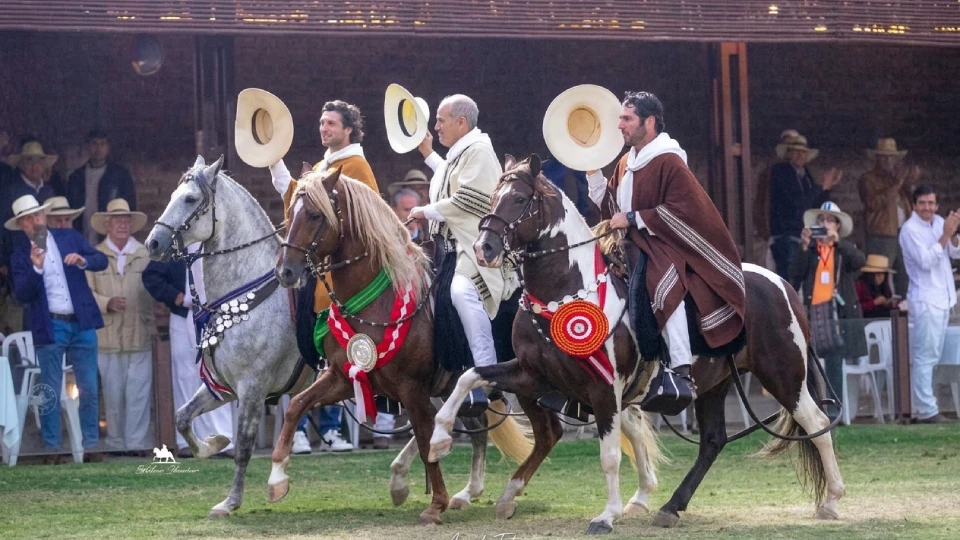 Tres chalanes peruanos montan caballos peruanos de paso en una exhibición ecuestre, mostrando la elegancia de la raza, la tradición del chalán y el valor cultural de esta expresión peruana.
