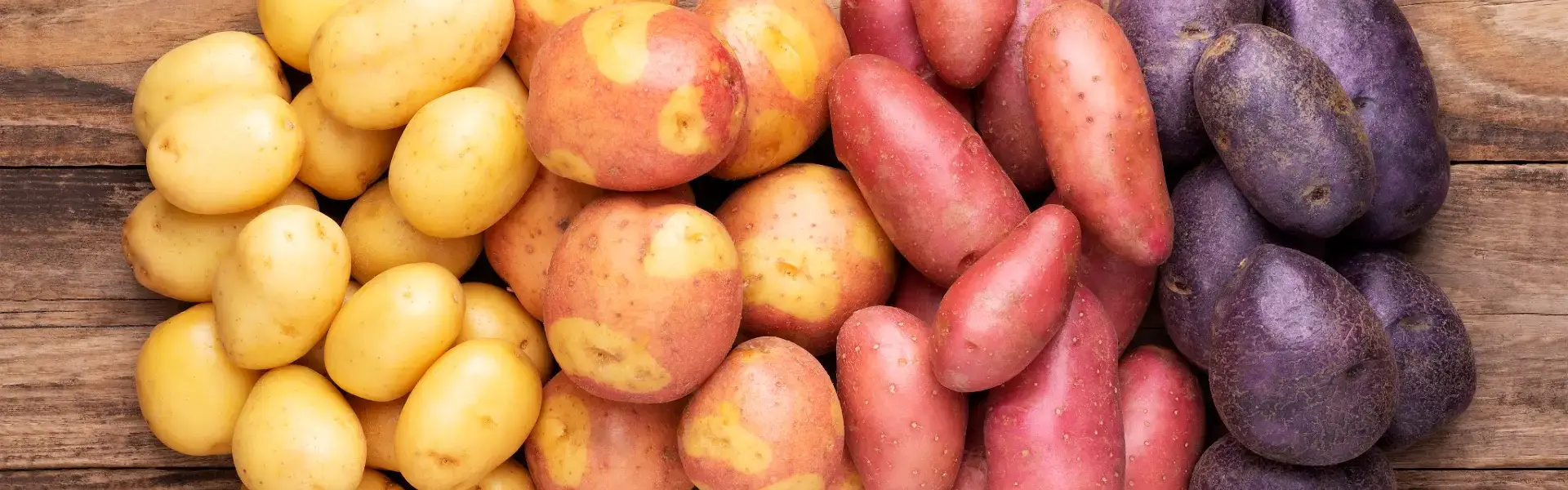 Variedades de la papa en el Perú | Cocatambo