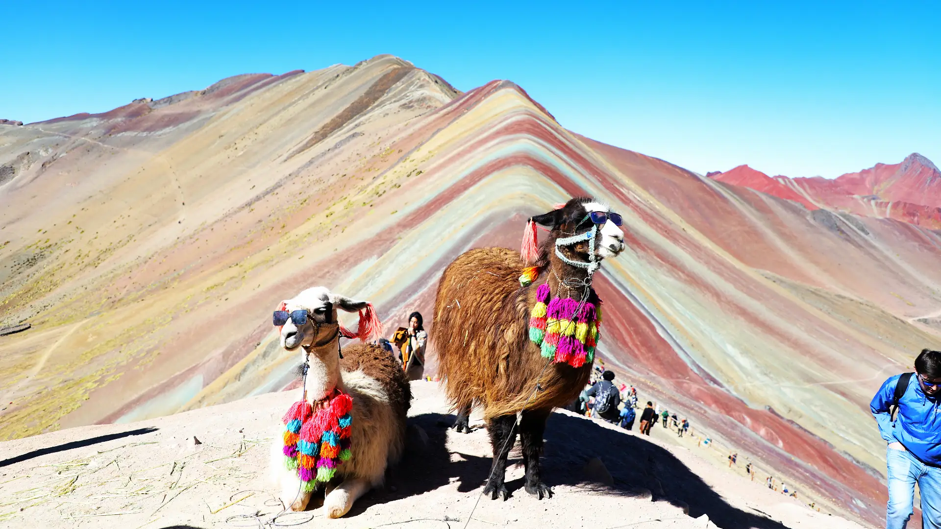 Vinicunca | Cocatambo Hotel