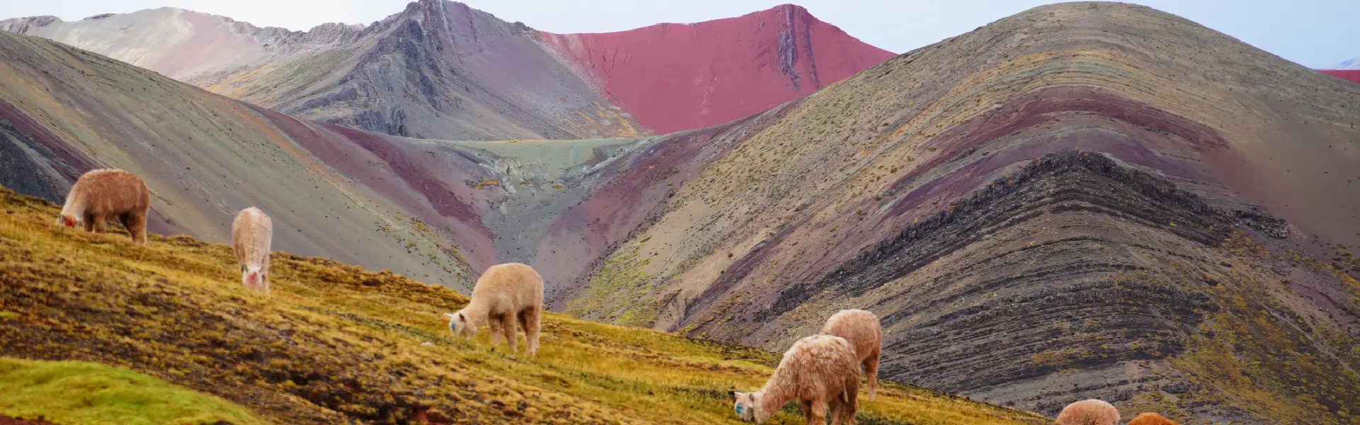 Montaña de colores Palcoyo | Cocatambo