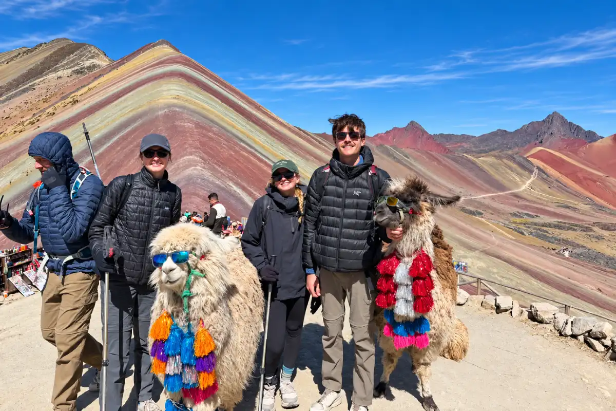 Alpacas en Vinicunca | Cocatambo