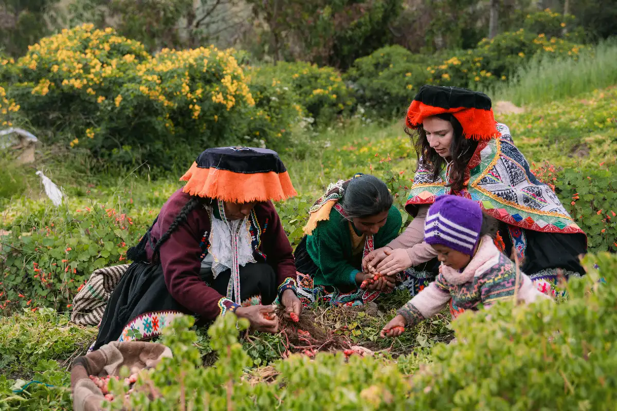 Cosecha en el Parque de la Papa | Cocatambo