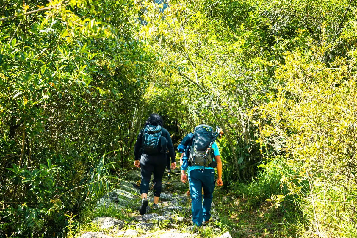 Viajeros caminando por el bosque del Camino Inca | Cocatambo