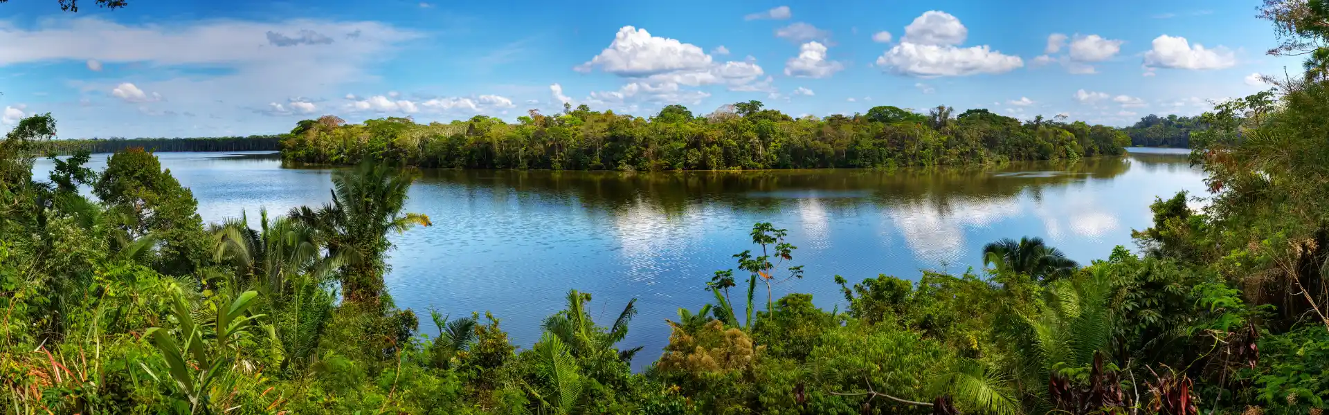 Lago amazónico en Tambopata | Cocatambo