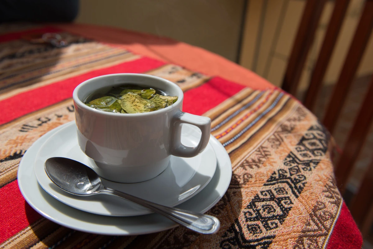 Mate de la hoja de coca