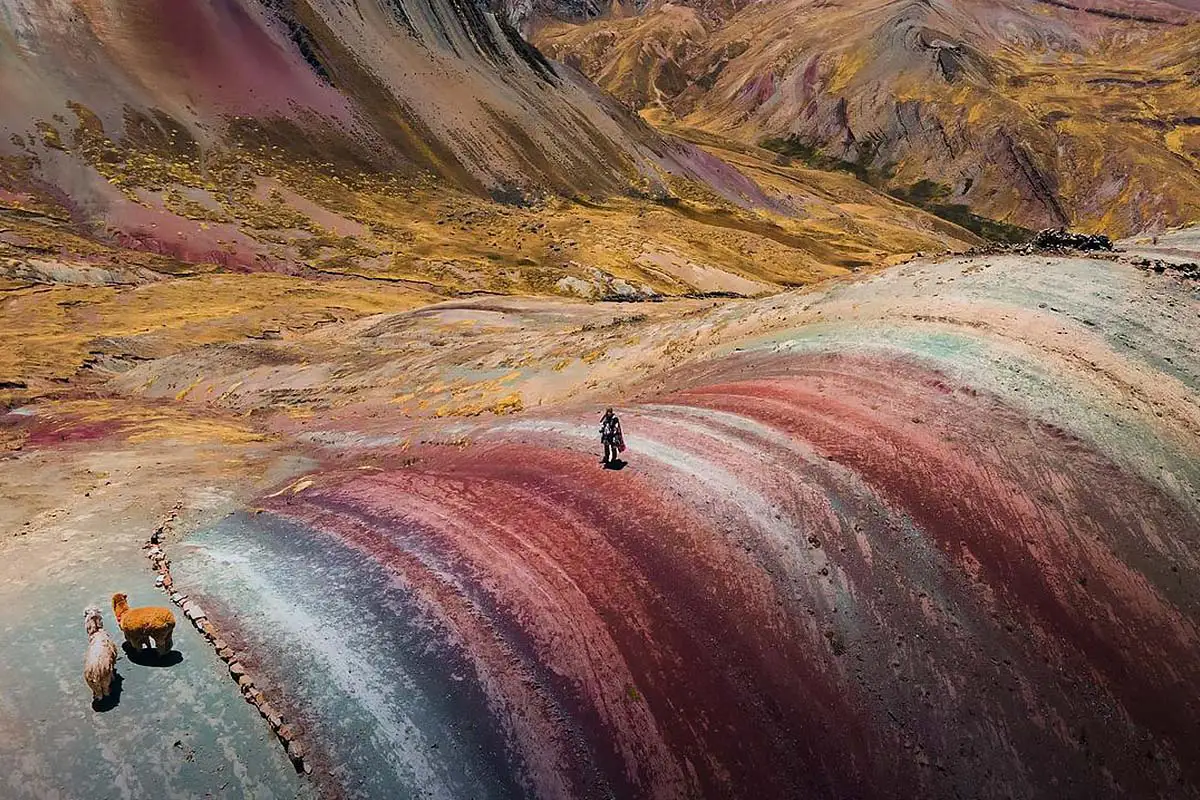 Palcoyo