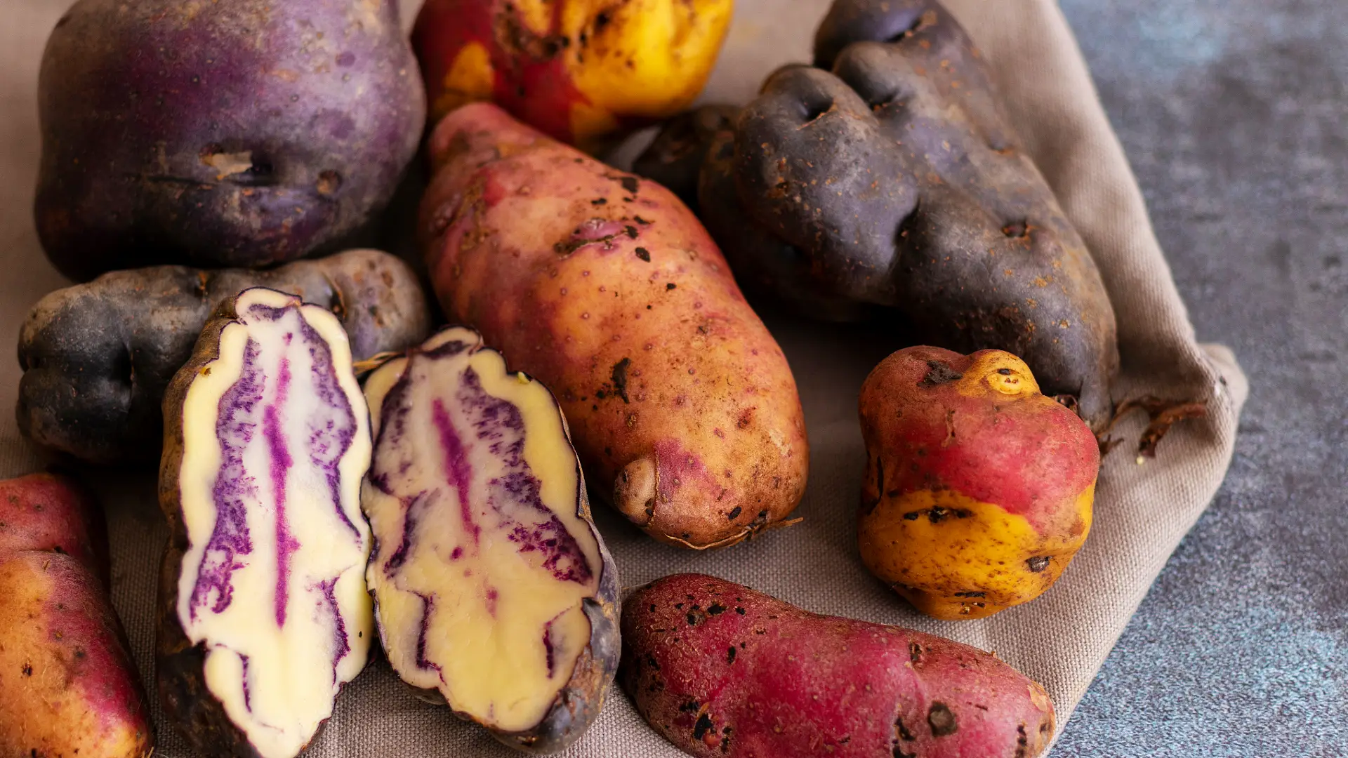 Variedades de papas nativas de color | Cocatambo