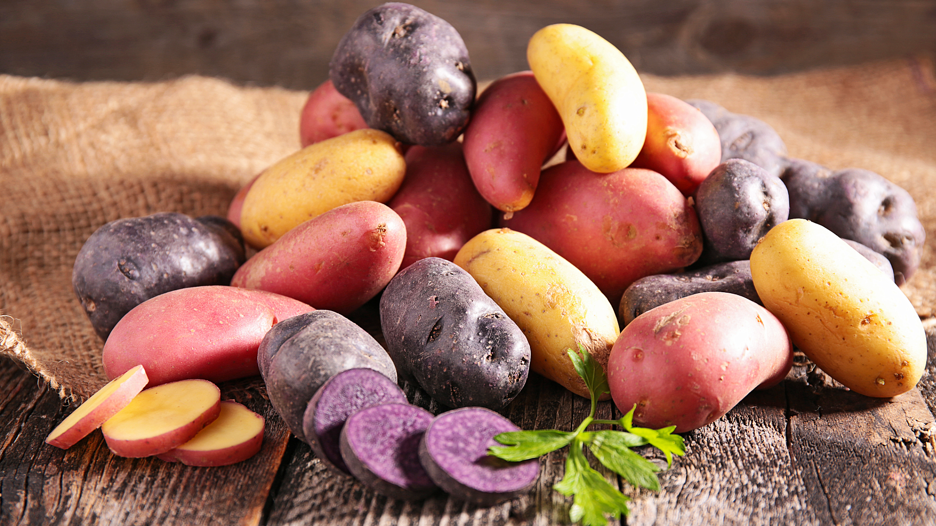 Variedades de papas comerciales | Cocatambo