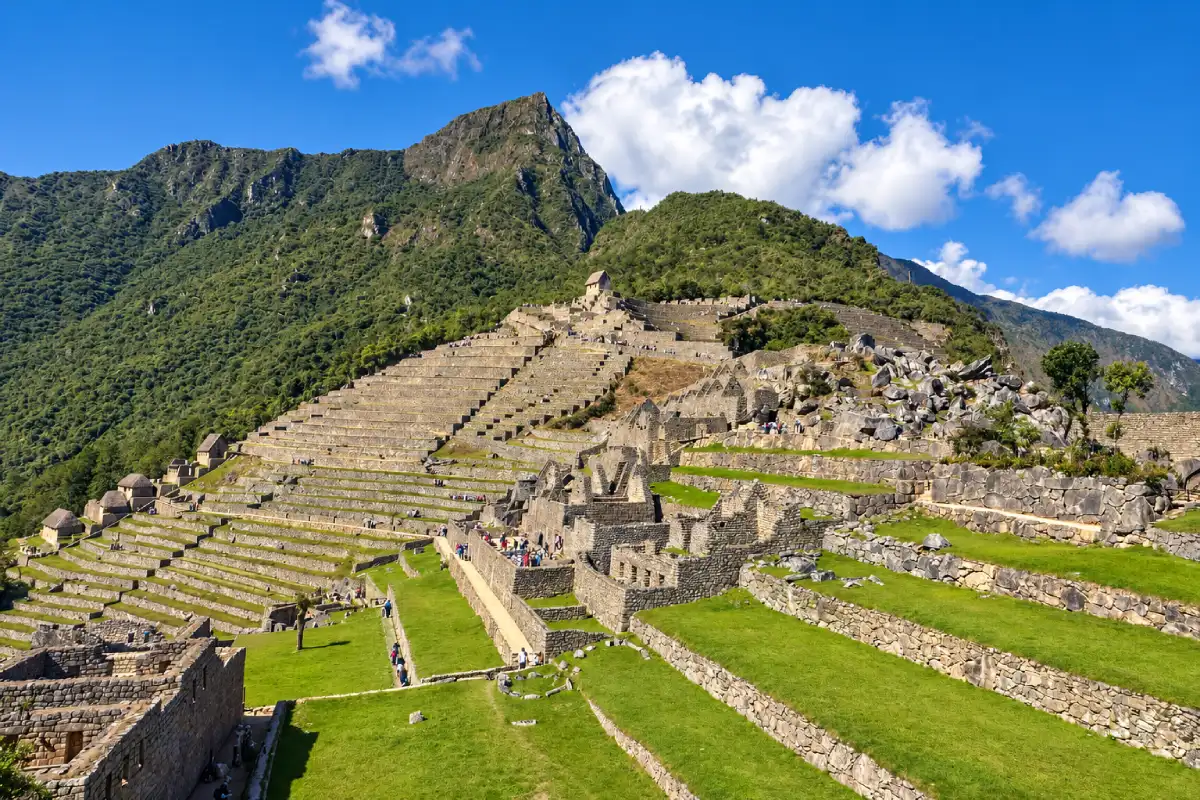 Andenes de Machu Picchu | Cocatambo