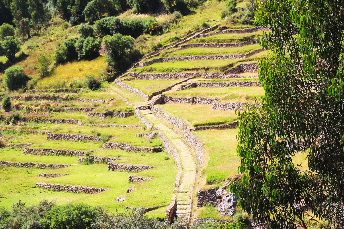 Andenes de Inkilltambo | Cocatambo