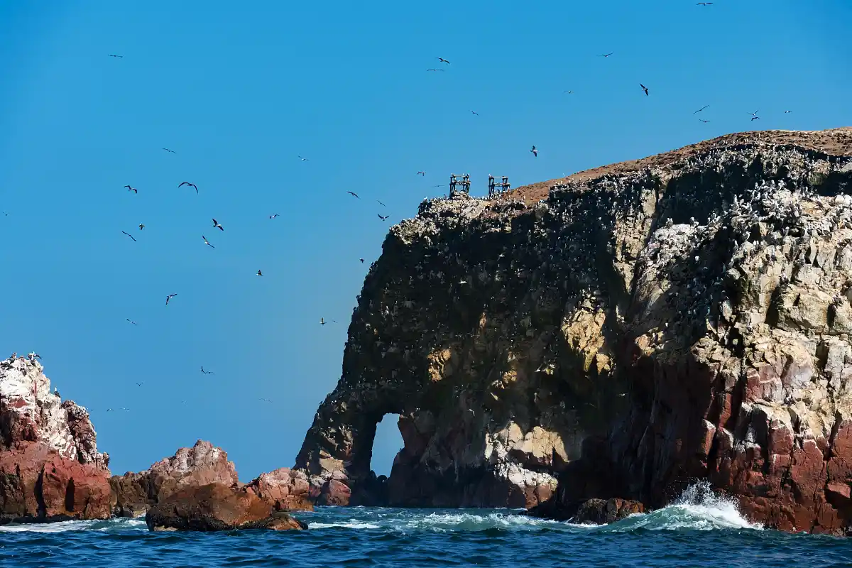 Arco de roca y aves sobre el mar de Paracas