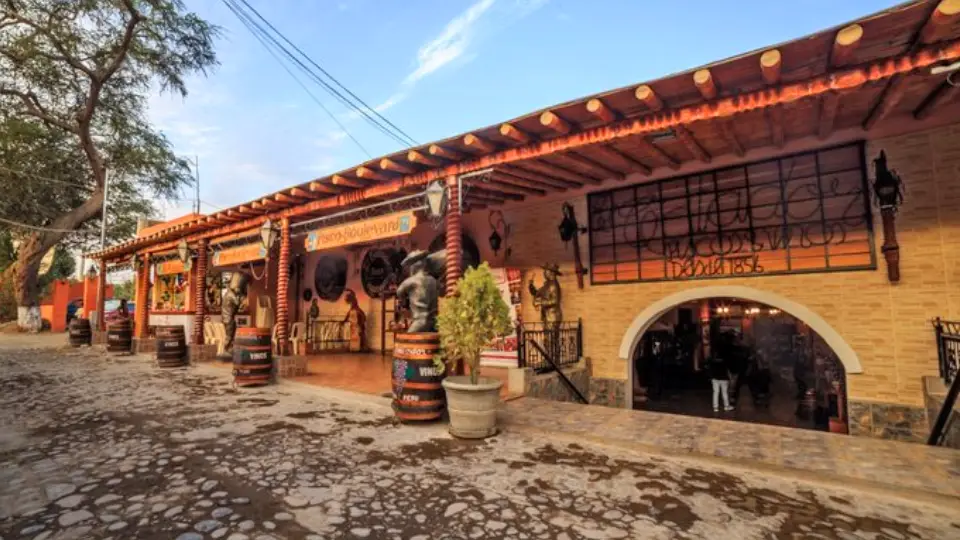 Bodega "El Catador"- Ica