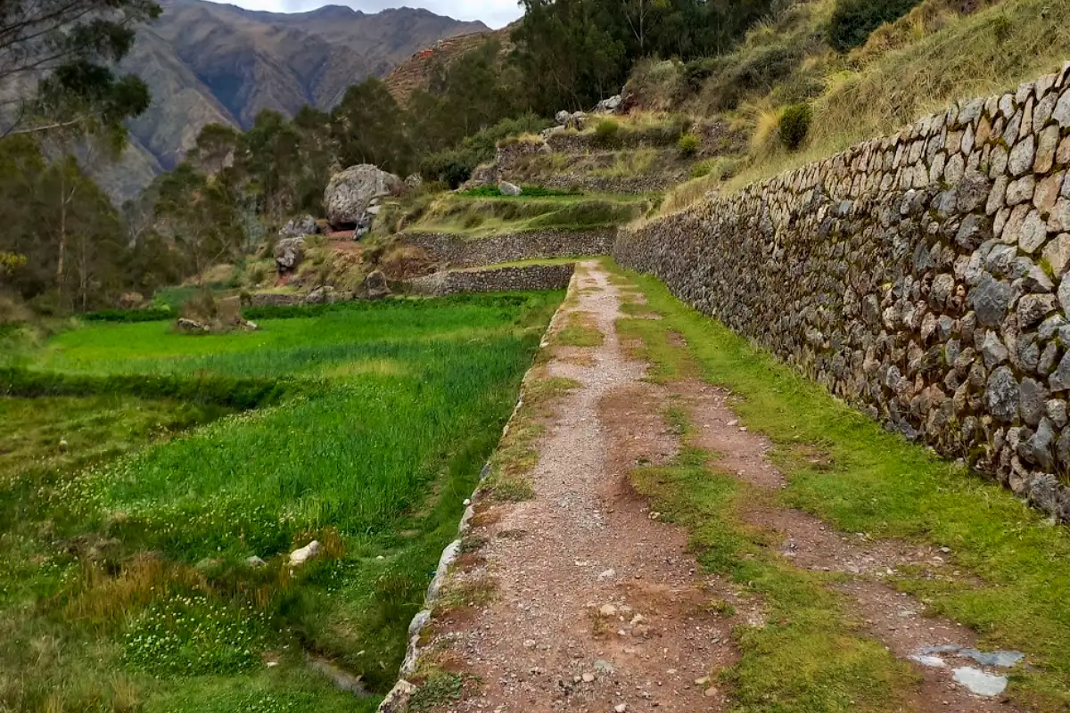 Sendero de entrada a Poc Poc | Cocatambo
