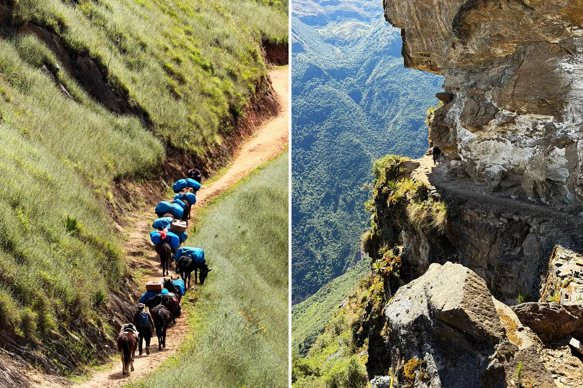 Caravana de mulas con carga recorriendo el Camino Inca | Cocatambo