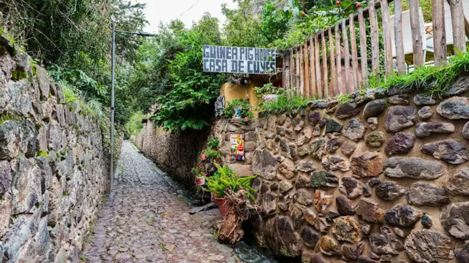 Vista de la fachada de la casa de cuyes