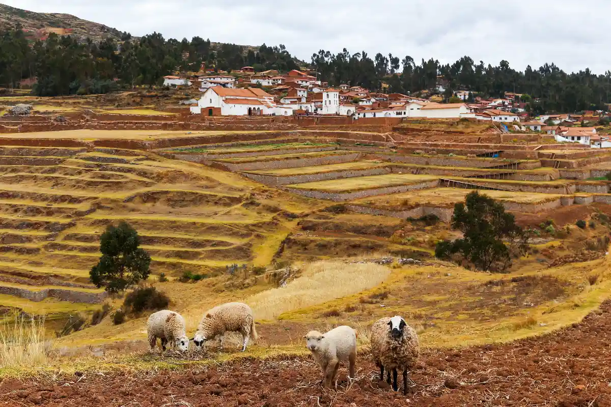 Vista panorámica desde el frente de Chinchero | Cocatambo
