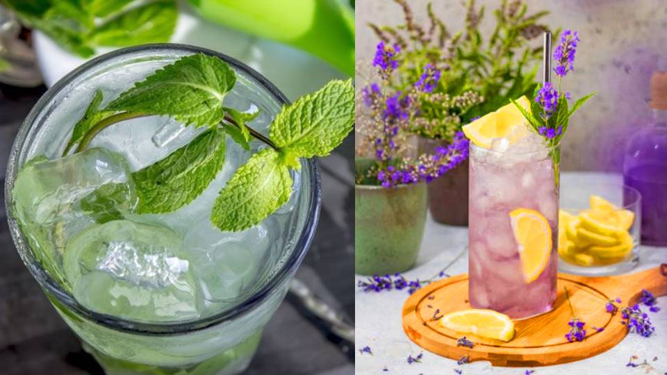 Hiervas aromáticas