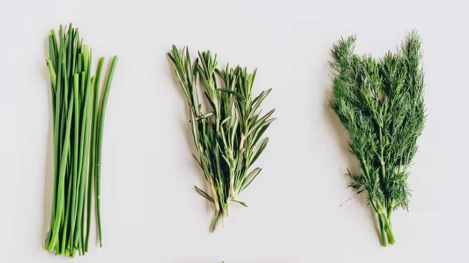 Hiervas aromáticas