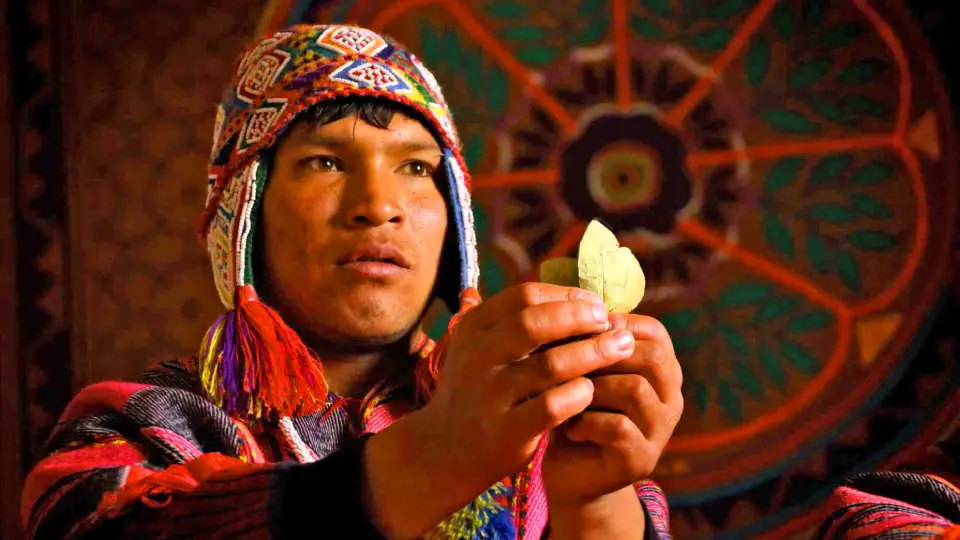 Hoja de coca