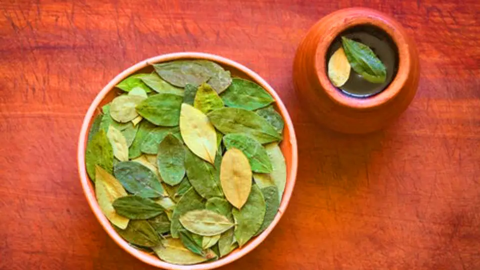 Té de hojas de coca