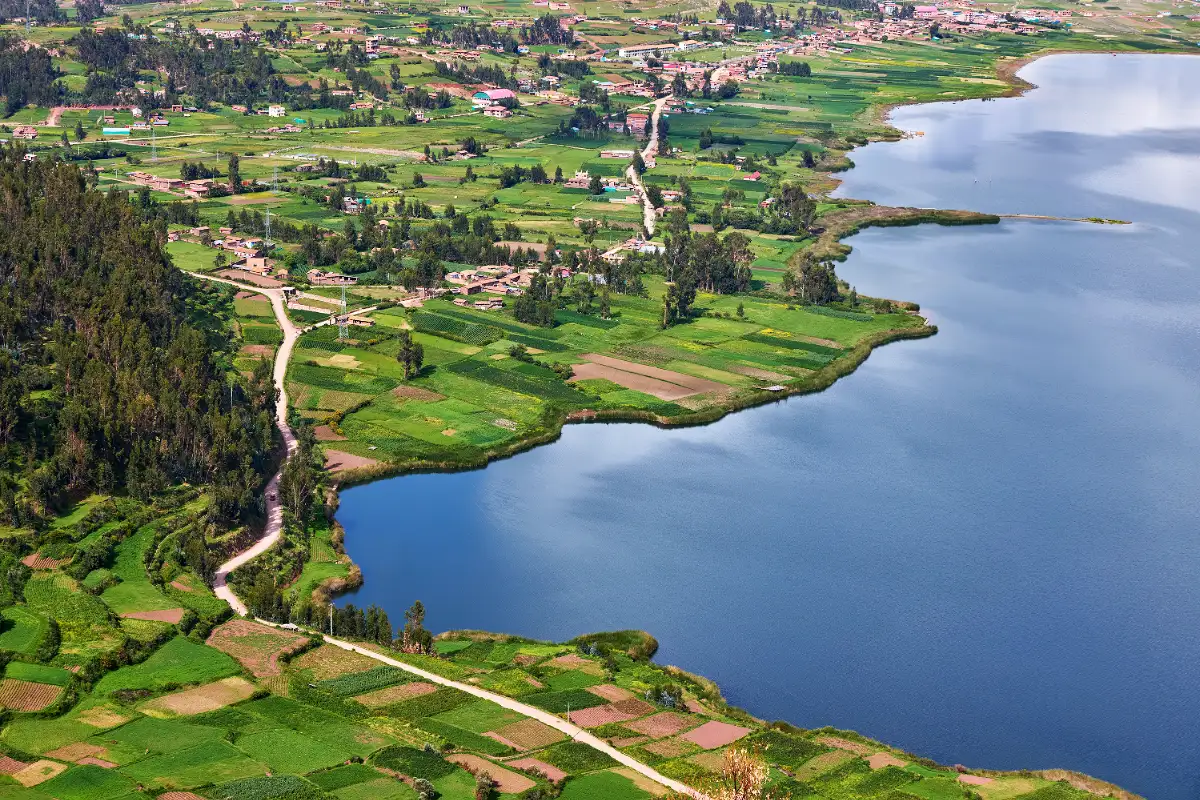Humedal de Piuray | Cocatambo