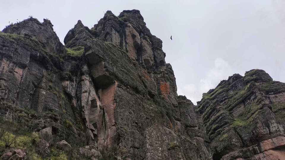 Nido de cóndores en Waqrapukara