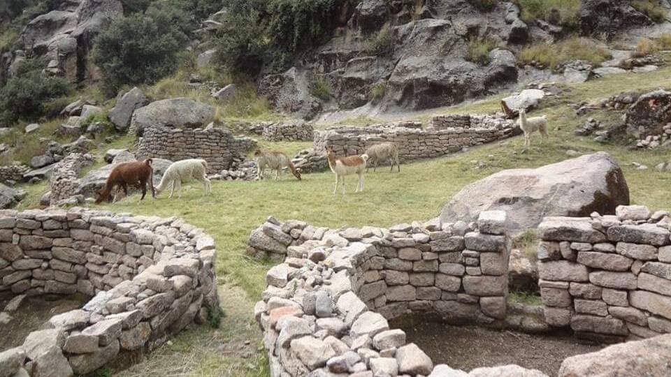 viviendas en María Fortaleza-taqrachullo