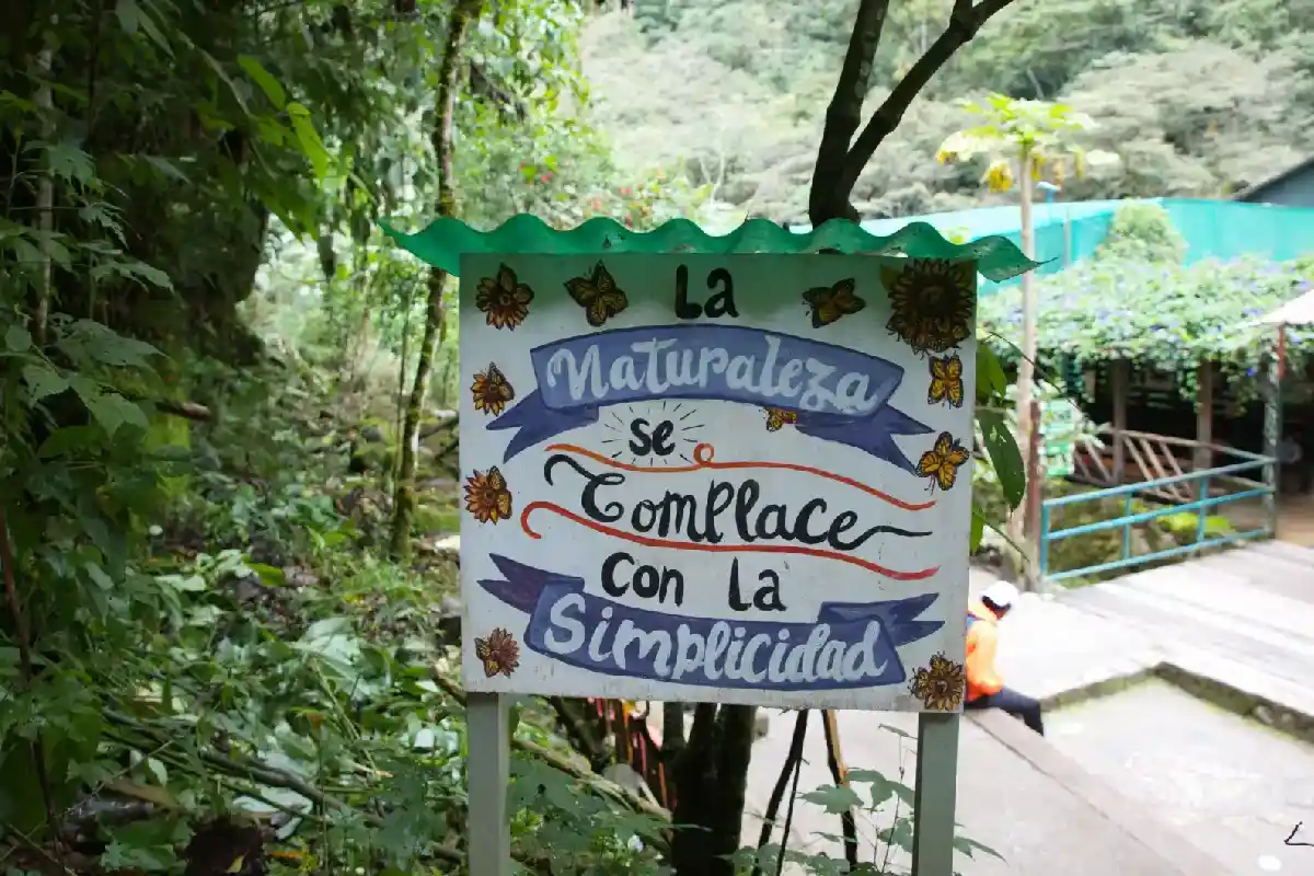 Cartel con frase inspiradora sobre la naturaleza | Cocatambo