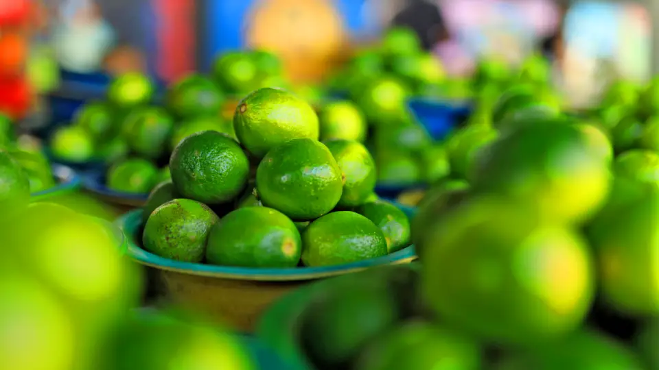 Limón sutil - Pisco Sour 