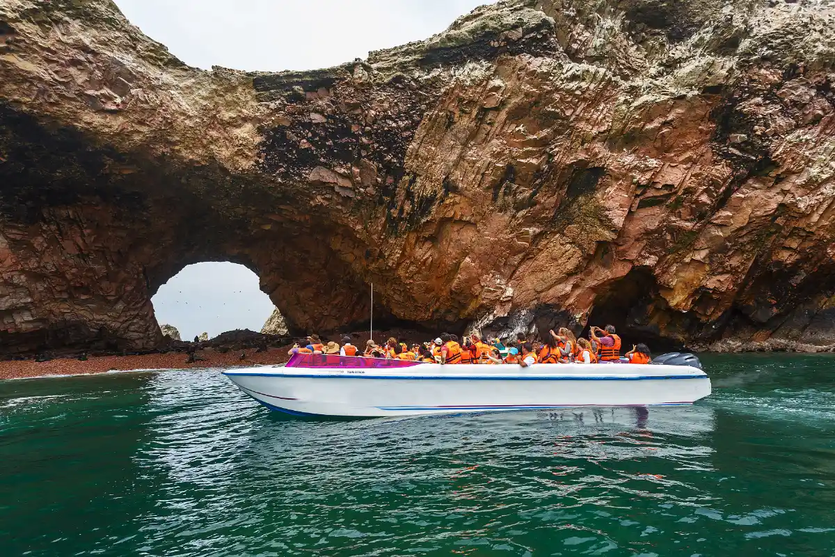 Lobos marinos junto a un arco de roca