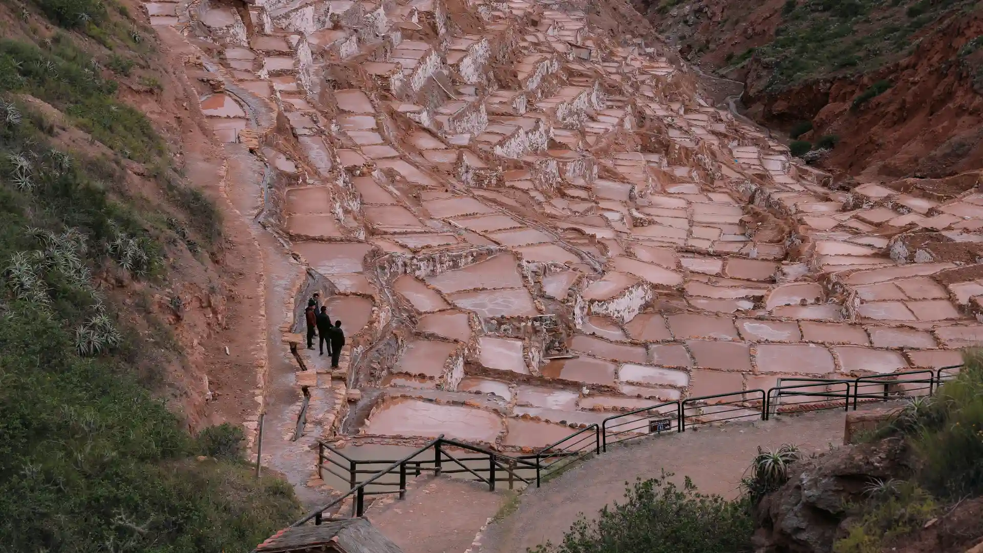 Vista panorámica de las Salineras de Maras en Cusco | Cocatambo
