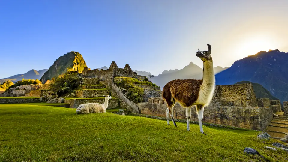 Machu Picchu
