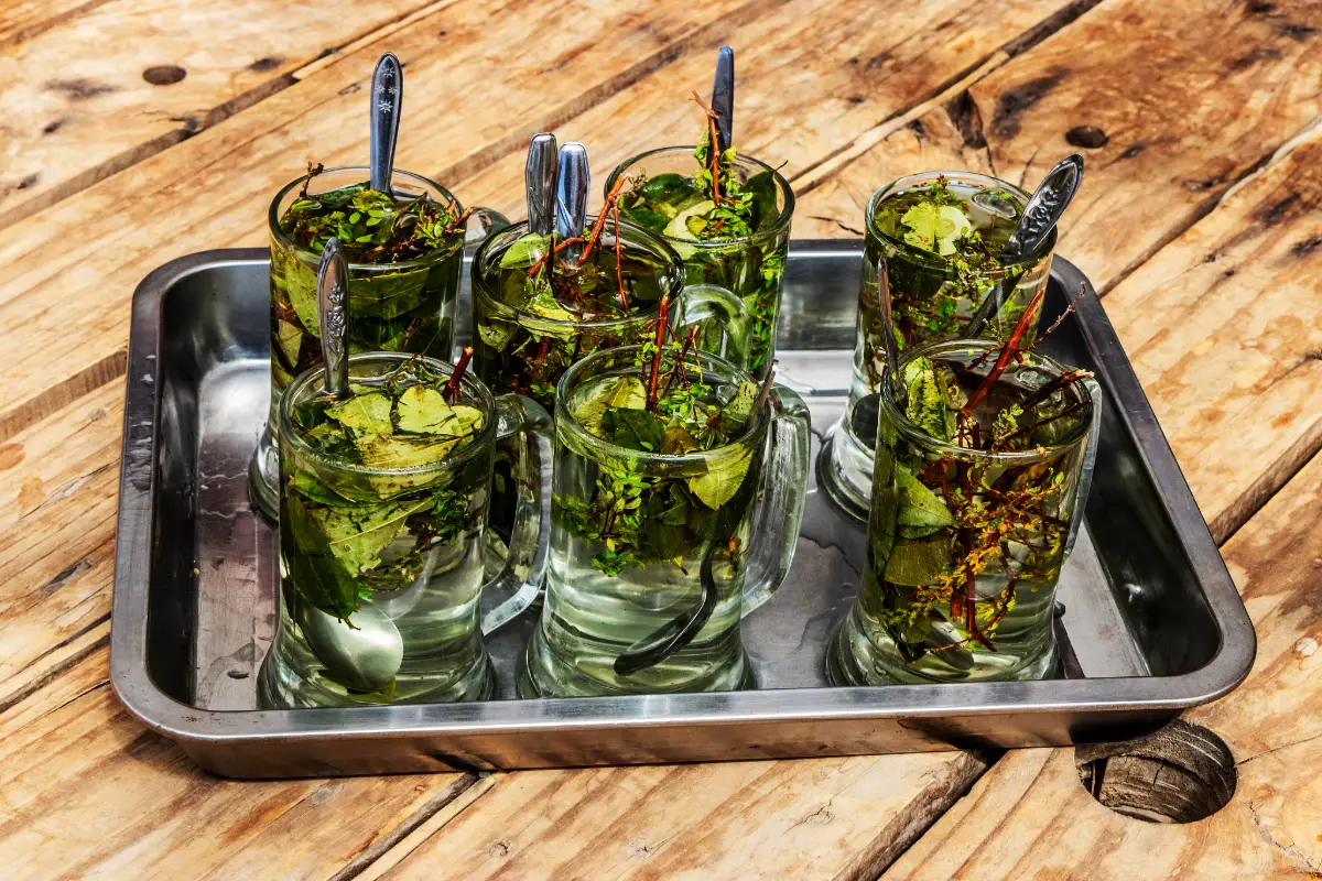 Infusión de coca y muña contra el mal de altura | Cocatambo