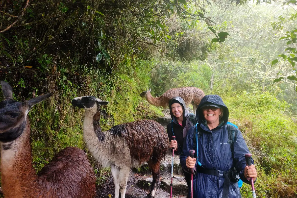 Senderismo en el Camino Inca | Cocatambo
