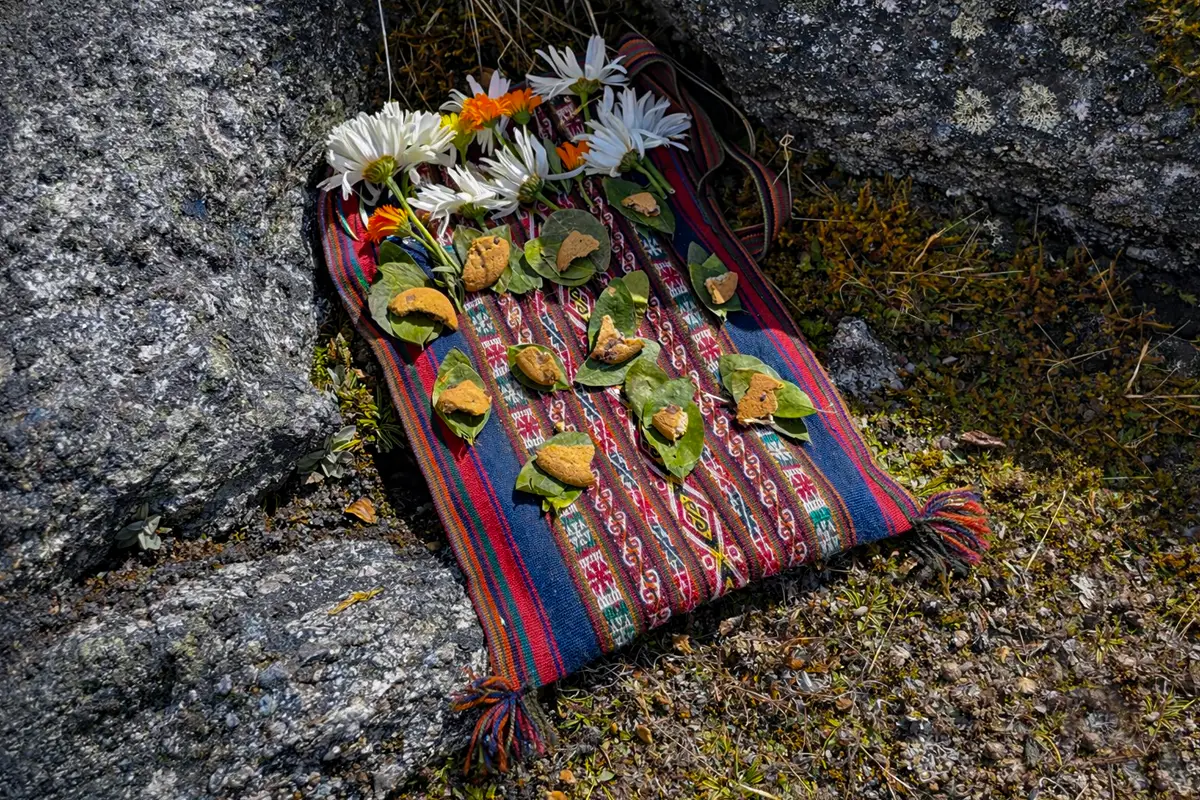 Ofrenda andina sobre un tejido tradicional con hojas verdes, flores blancas y pequeños elementos rituales colocados entre rocas.