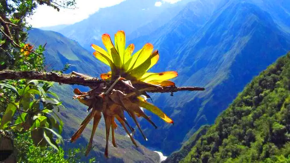 Paisaje de las montañas en Choquequirao