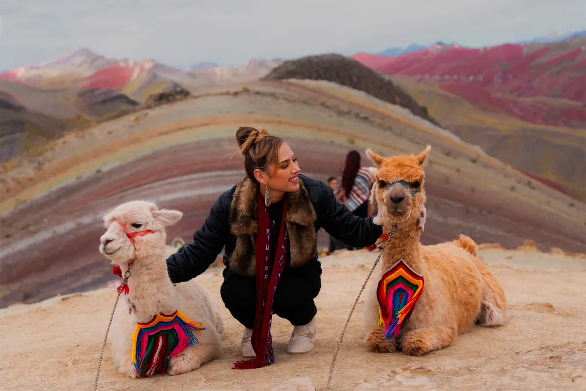 Turista acariciando llamas en Palcoyo