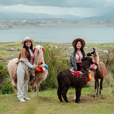 Chicas paseando con llamitas