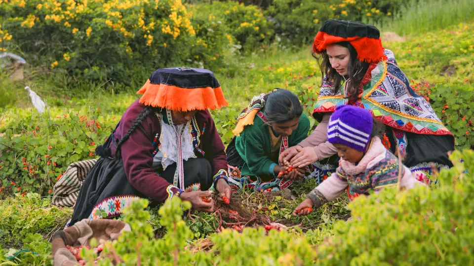 Agricultura-Valle sagrado de los Incas