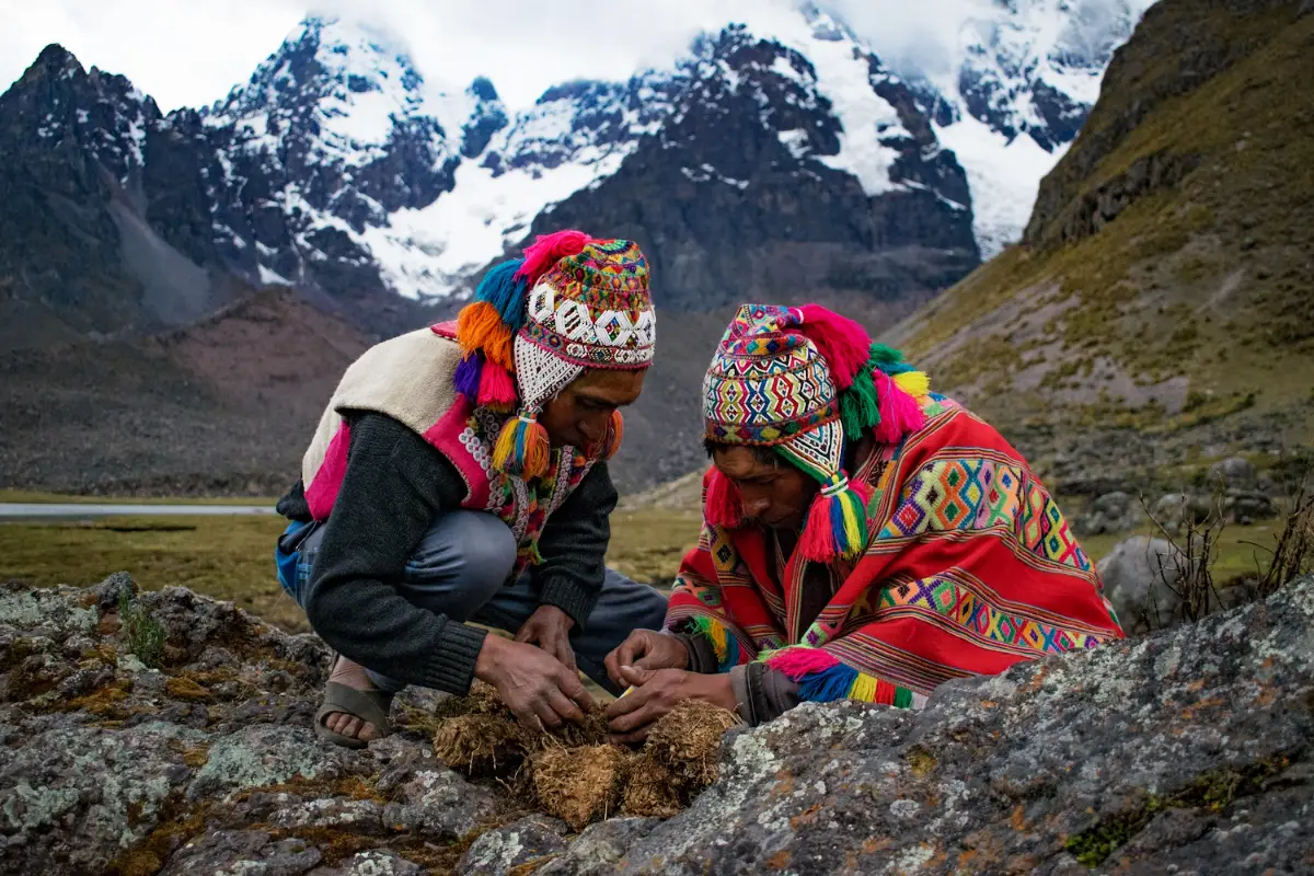 Paqos frente a nevado | Cocatambo