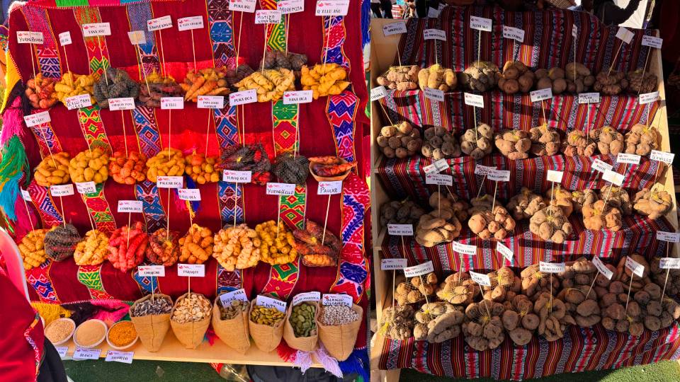 Diversidad de alimentos - Restaurantes de Lima