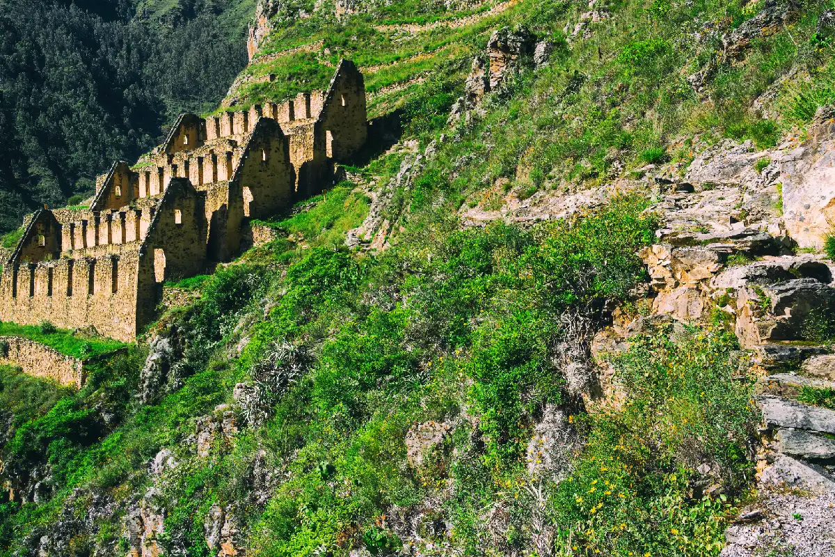 Sendero y colcas de Pinkuylluna | Cocatambo