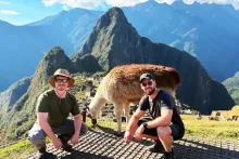 Llama en Machu Picchu | Cocatambo