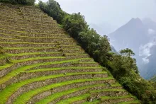 Terrazas de Wiñay Wayna | Cocatambo