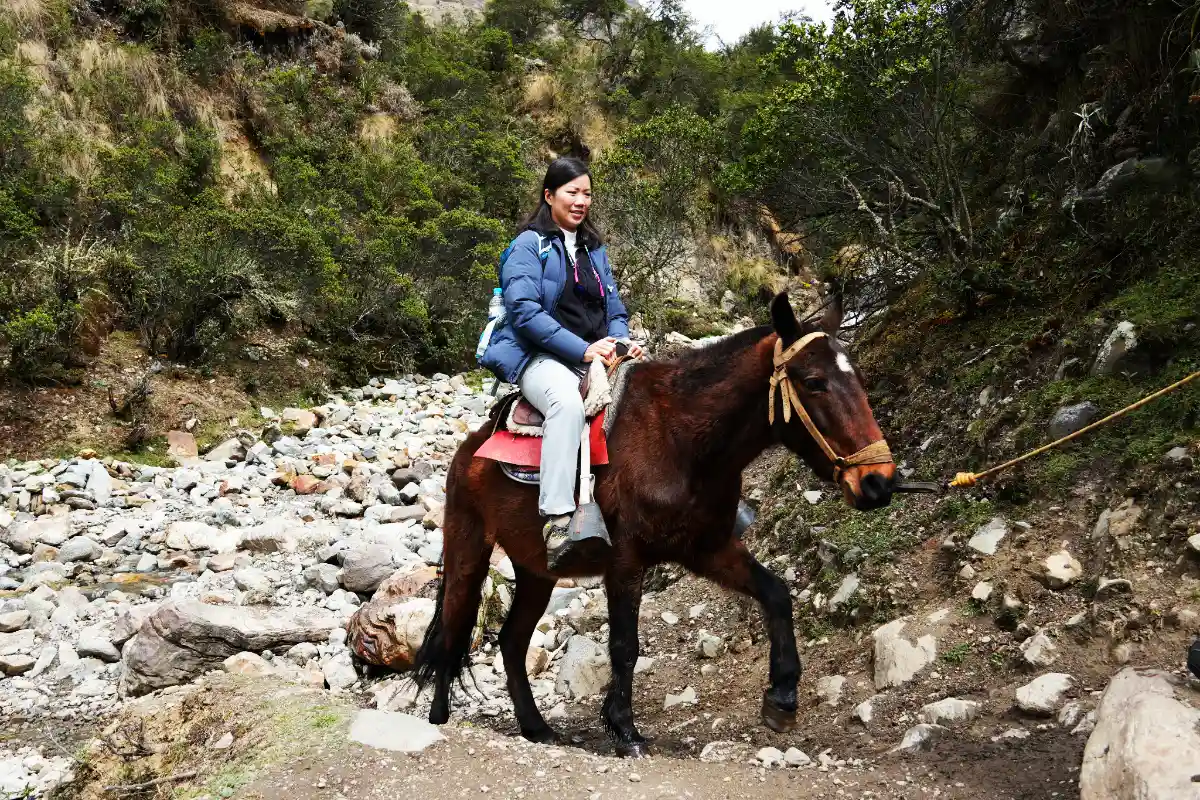 Subida a caballo hacia la Laguna de Humantay | Cocatambo